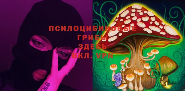дурь Алзамай